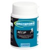 Ergysport recup