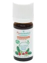 PURESSENTIEL Huile Essentielle de Gaulthérie Bio 10ML