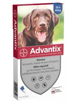 ADVANTIX Grand Chien 25-40KG Pipettes boite de 4