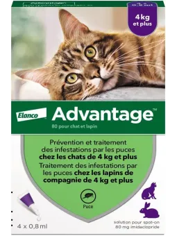 ADVANTAGE Chat Solution Anti-puces Chats + 4KG Pipettes boite de 4