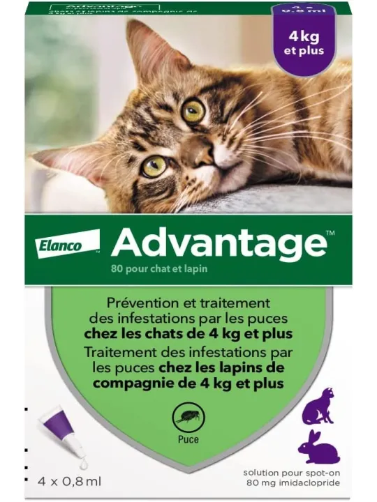 ADVANTAGE Chat Solution Anti-puces Chats + 4KG Pipettes boite de 4