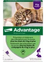 ADVANTAGE Chat Solution Anti-puces Chats + 4KG Pipettes boite de 4