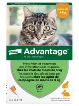 ADVANTAGE 40 Solution Anti-puces pour Chat et Lapin de - 4kg Pipettes boite de 4