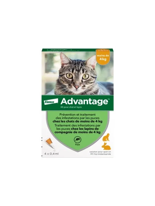 ADVANTAGE 40 Solution Anti-puces pour Chat et Lapin de - 4kg Pipettes boite de 4
