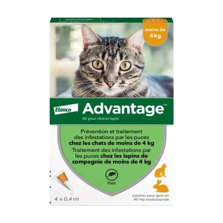 ADVANTAGE 40 Solution Anti-puces pour Chat et Lapin de - 4kg Pipettes boite de 4
