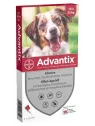 ADVANTIX Chien Moyen 10-25KG Pipettes boite de 4