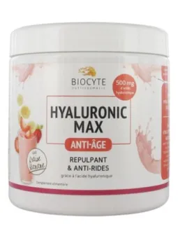 BIOCYTE Hyaluronic Max 20X14G