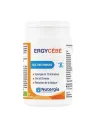 NUTERGIA Ergycébé Multivitamines Gélules boite de 90