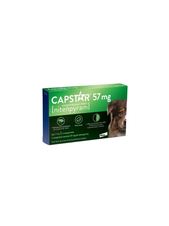 CAPSTAR Grand Chien 57MG Comprimés boite de 6