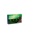 CAPSTAR Grand Chien 57MG Comprimés boite de 6