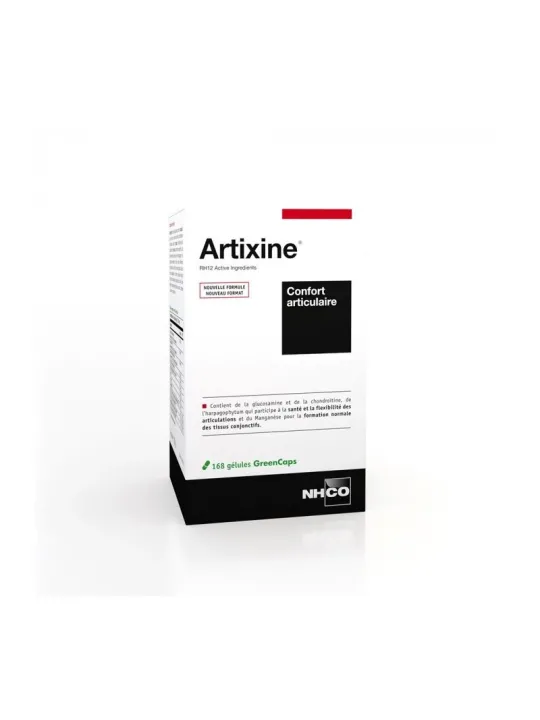 NHCO Artixine Gélules boite de 168