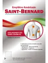 SAINT BERNARD Emplâtre Américains boite de 1