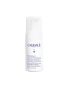 CAUDALIE Vinoperfect Mousse Micro-Peeling Eclat 100ML