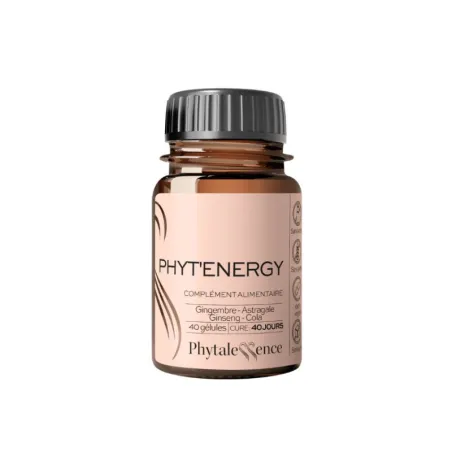 PHYTAL PHYTENERGY GEL BT40