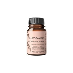 Phytalessence Glucosamine Msm 30 Gel