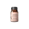 Phytalessence Sommeil 60 Gel