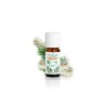 Puressentiel Huile Essentielle Niaouli Bio 10 ml