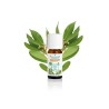 Puressentiel Huile Essentielle de Laurier Noble Bio 5 ml