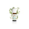 Puressentiel Huile Essentielle Thym Lina Bio 5 ml