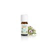 Puressentiel Huile Essentielle Thym Thymo Bio 5 ml