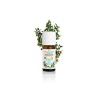 Puressentiel Huile Essentielle Myrte Bio 5 ml
