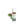 Puressentiel Giroflier Bio 5 ml