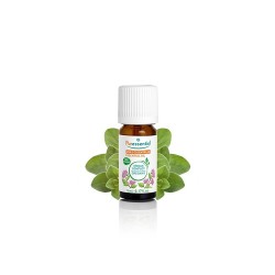 Puressentiel Origan Compact Bio 5 ml