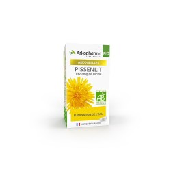 Arkopharma Pissenlit Bio Flacon 45 Gel
