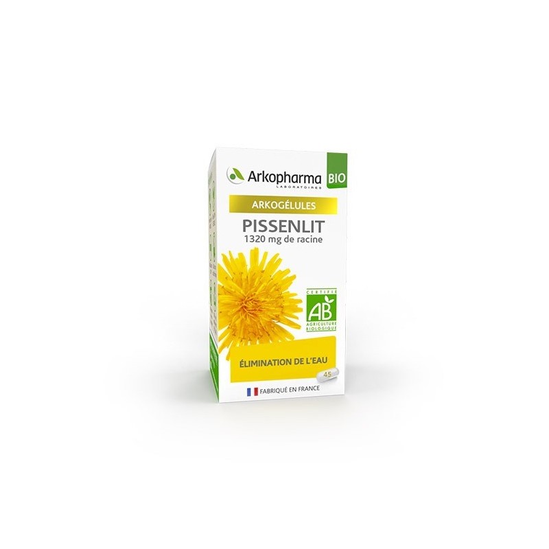 Arkopharma Pissenlit Bio Flacon 45 Gel