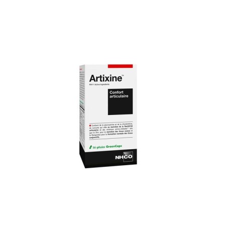 NHCO Nutrition Artixine Conf Artic 56 Gel