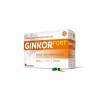GINKOR FORT, gélule - 30 gélule(s)