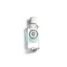 Roger & Gallet Eau Parfum Bienfais The Vert Flacon 100 ml