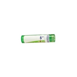 Boiron Rhus Tox 5CH Tube Granules