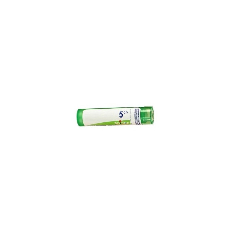 Boiron Rhus Tox 5CH Tube Granules