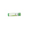 Boiron Rhus Tox 5CH Tube Granules