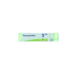 Boiron Ruta Graveolens 5CH Tube Granules