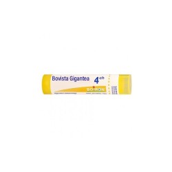 Boiron Bovista Gigantea 4CH Tube - 4 g
