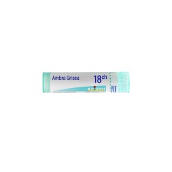 Boiron Ambra Grisea 18CH Tube - 4 g