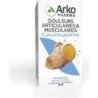 Arkopharma Arkogélules Curcuma Pipérine BIO 40 Gélules