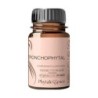 Phytalessence Bronchophytal 40 gélules